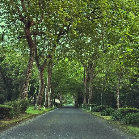 Azor International House בית נופש *