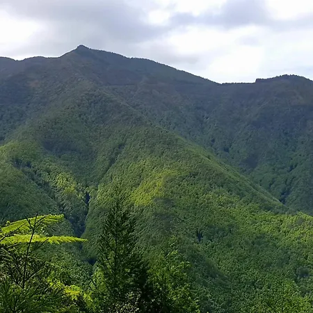 Azor International House