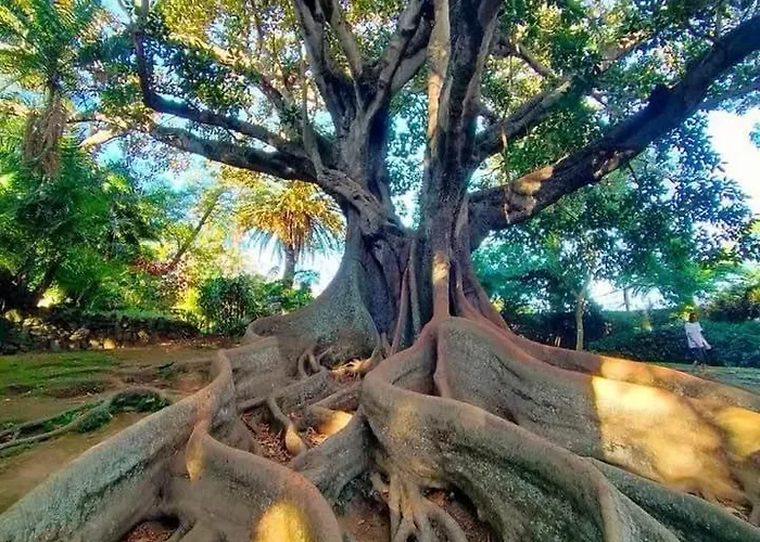 Azor International House Vakantiehuis