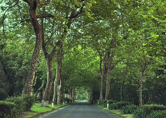 Azor International House Vakantiehuis *