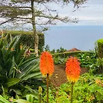 Azor International House Holiday home