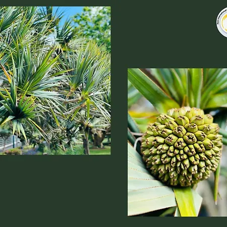 Azor International House Casa de Férias Ponta Delgada