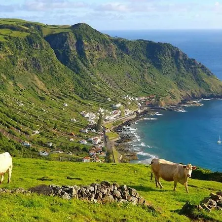 Azor International House * Ponta Delgada