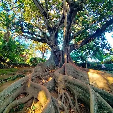 Azor International House Nyaraló