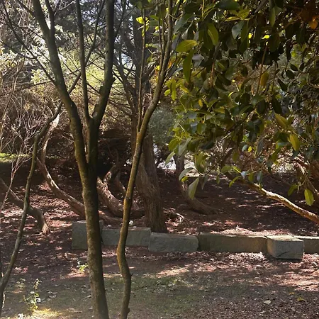 Azor International House בית נופש