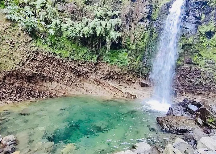 Azor International House *