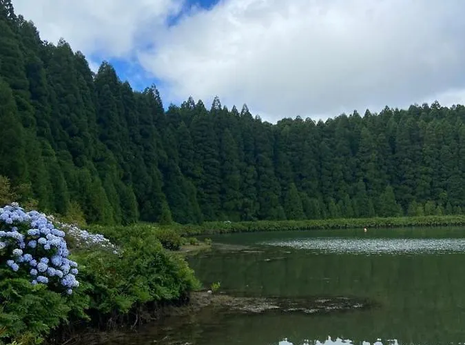 펜션 Azor International House *