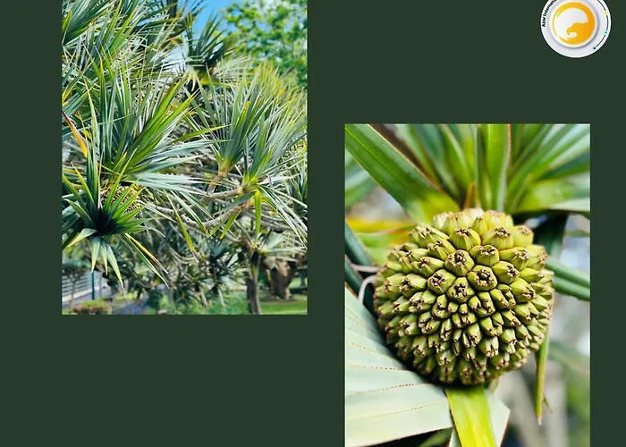 Azor International House Casa de Férias Ponta Delgada