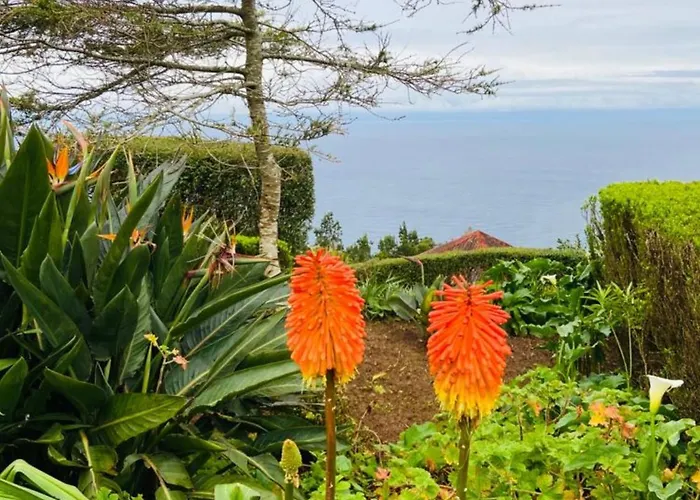 Azor International House Casa de Férias