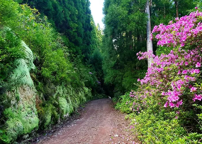 Azor International House