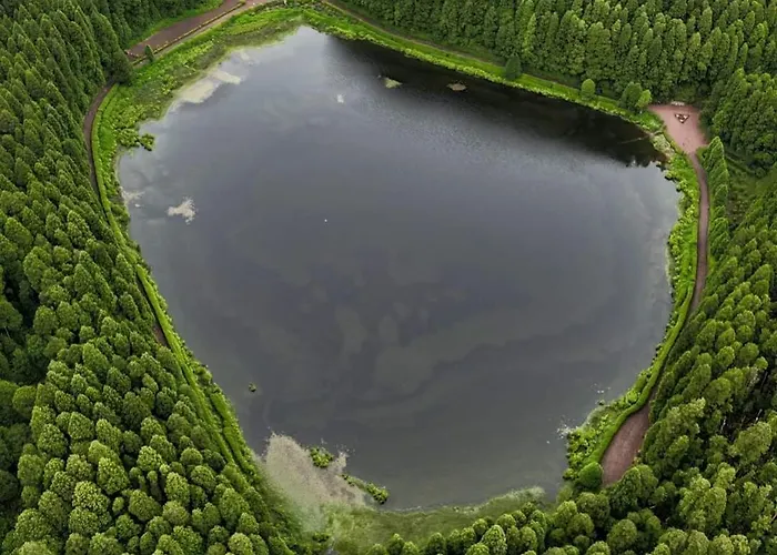 펜션 Azor International House