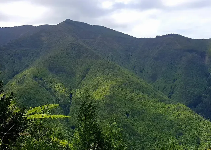 Azor International House